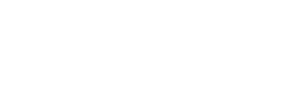 levl telematics master logo white